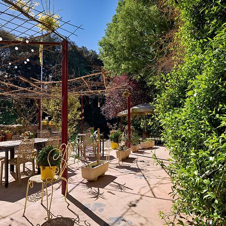 B&B Mas Torrencito Pet Friendly Parets de Ampurda Exterior photo
