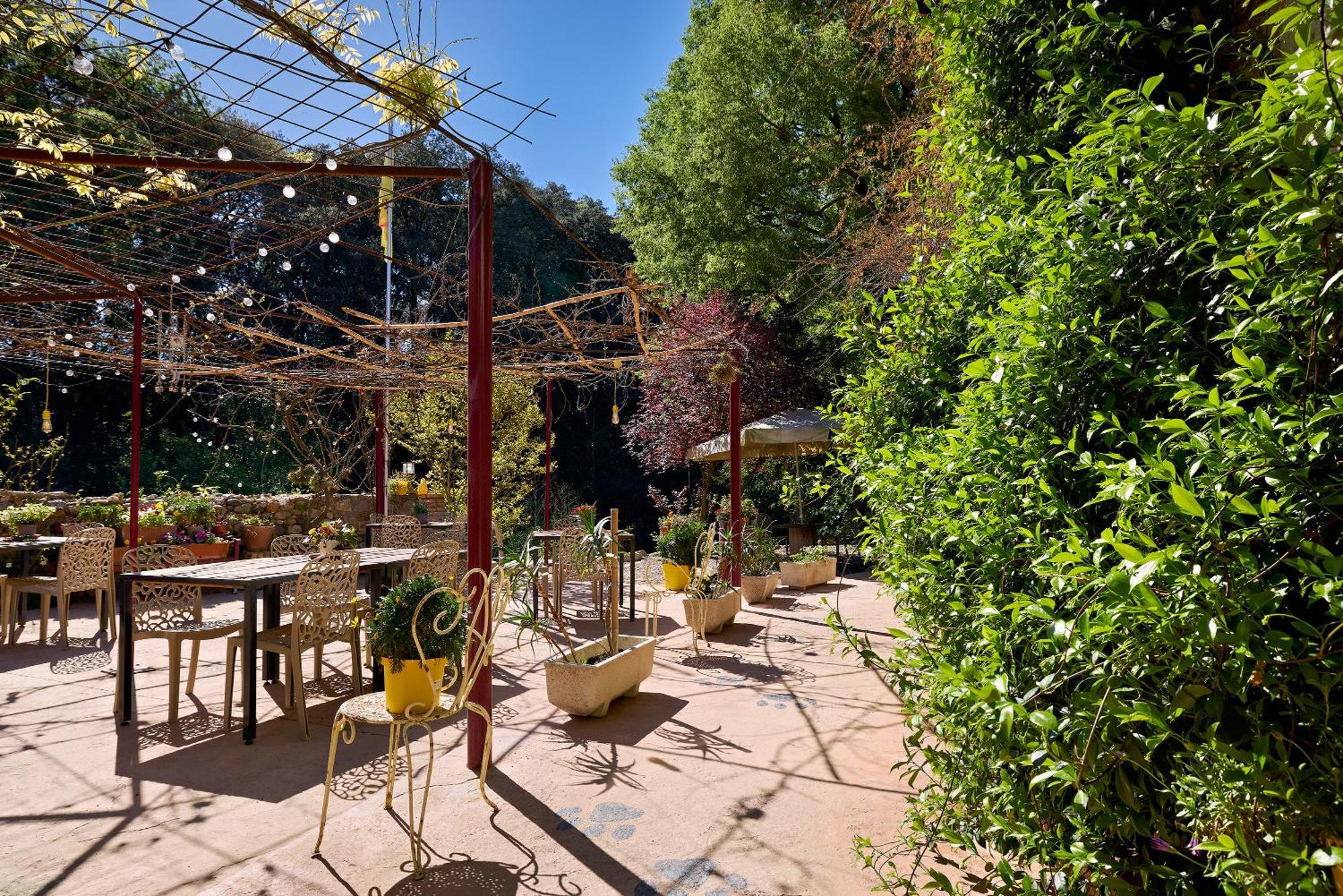 B&B Mas Torrencito Pet Friendly Parets de Ampurda Exterior photo